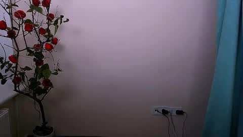 Ariel online show from 10/21/25, 04:13