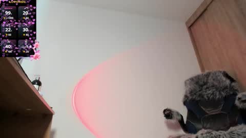 Sammy online show from 10/25/25, 02:24