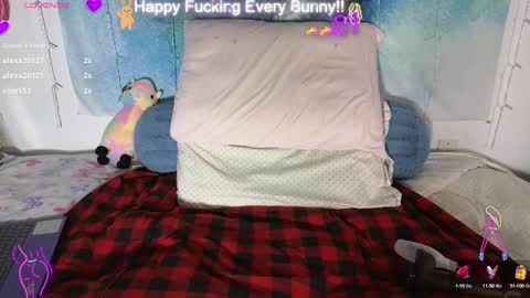 Snapshot of bunnycheekz chatting on 01/28/25, 02:00 Tokki bunny online show from 01/28/25, 02:00