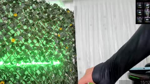 Angela Santini online show from 12/22/24, 08:49