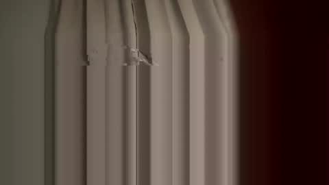 Snapshot of burkemeister101 chatting on 10/06/25, 12:19 Burkemeister online show from 10/06/25, 12:19