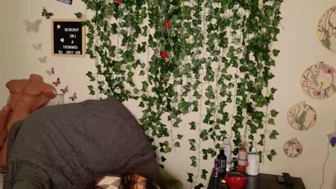 butterfly booty online show from 11/03/25, 05:09