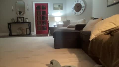 bwc2465 online show from 02/15/25, 04:03