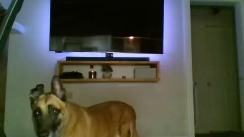 bwc44u online show from 10/02/25, 02:07