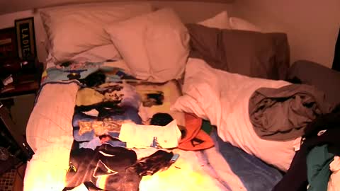 c547409 online show from 10/02/25, 04:36