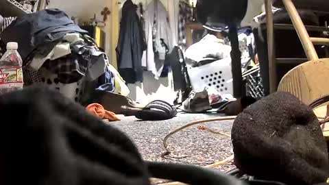 c547409 online show from 10/21/25, 10:32