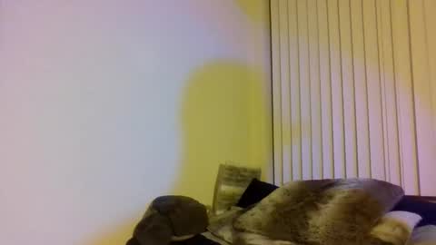 Cal XXX online show from 11/01/25, 02:13