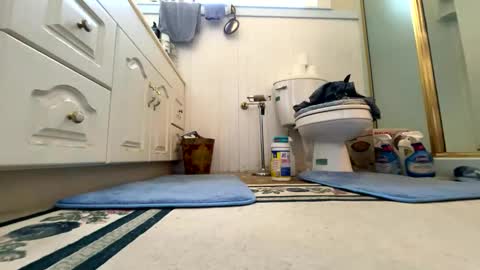 Snapshot of cali1962 chatting on 10/06/25, 06:16 Cal online show from 10/06/25, 06:16