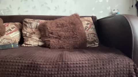 Anna online show from 12/09/24, 10:22