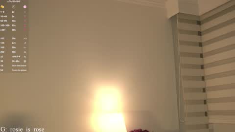 Snapshot of call_me_rosie chatting on 01/06/26, 02:48 online show from 01/06/26, 02:48