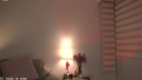 Snapshot of call_me_rosie chatting on 04/01/26, 12:22 online show from 04/01/26, 12:22