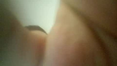 cameliasecui3 online show from 01/29/25, 01:58