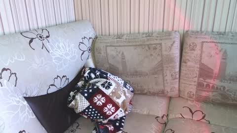 Cameron online show from 01/17/25, 09:17