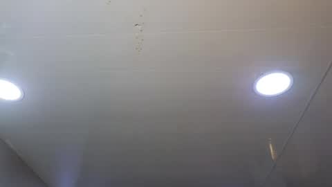 Camil online show from 05/03/26, 11:05