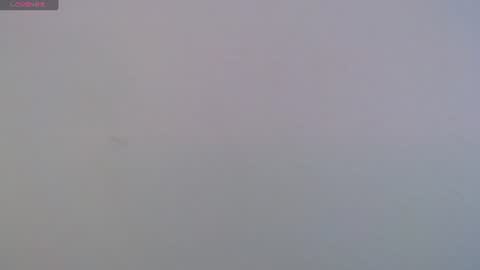 camila_torresss online show from 06/08/26, 07:58