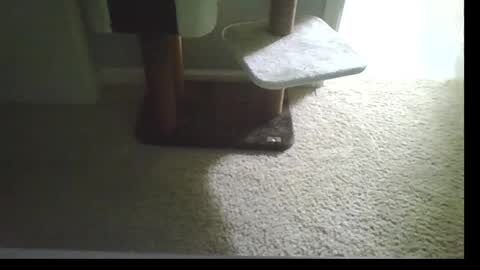 cammyman6900 online show from 09/21/25, 04:47