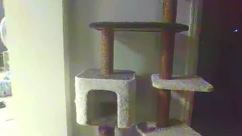 cammyman6900 online show from 11/20/25, 04:34