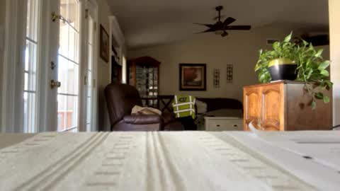 Snapshot of camperjay chatting on 01/30/25, 09:25 james online show from 01/30/25, 09:25