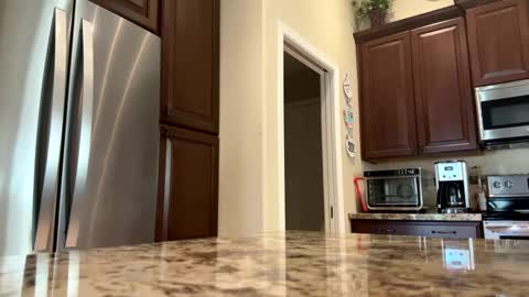 Snapshot of camperjay chatting on 09/24/25, 09:18 james online show from 09/24/25, 09:18