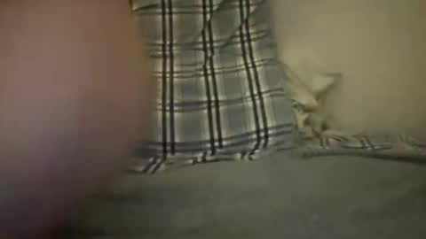 Snapshot of canadianbigdaddyx chatting on 12/20/24, 02:41 CanadaPanda online show from 12/20/24, 02:41