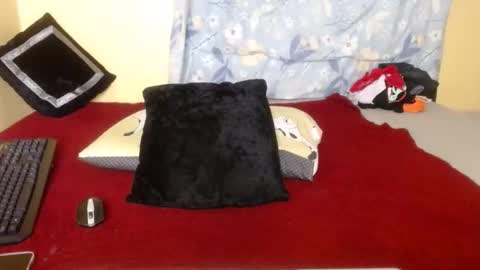 Snapshot of candy_hun chatting on 10/28/25, 06:54 candy_hun online show from 10/28/25, 06:54