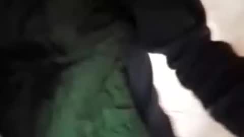 Snapshot of capri34 chatting on 09/21/25, 07:48 capri34 online show from 09/21/25, 07:48