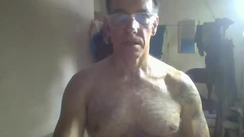 captainfox_ online show from 07/06/26, 03:03
