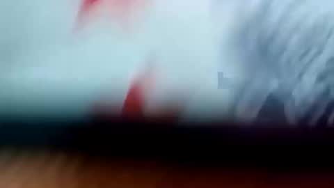 LILI online show from 06/08/26, 12:58