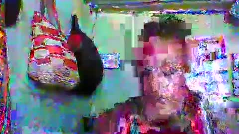 Snapshot of carinesexy69 chatting on 01/20/25, 10:40 carinesexy69 online show from 01/20/25, 10:40