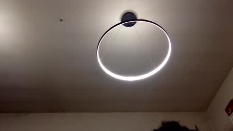 Carlos online show from 02/08/25, 09:04