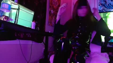 Cat online show from 01/16/25, 07:49