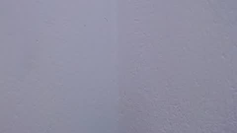 carolina_zabala_19 online show from 07/18/26, 05:06
