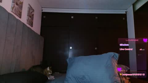 Snapshot of carolynamuzgui chatting on 02/27/25, 05:58 Carolinne online show from 02/27/25, 05:58