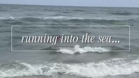 Snapshot of carriemadsin chatting on 12/02/25, 11:00 carrie madsin online show from 12/02/25, 11:00