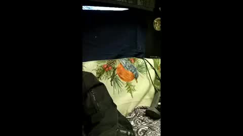 carrilloeverardo219 online show from 03/28/26, 12:54