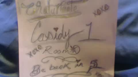 casidy1 online show from 02/04/25, 06:46