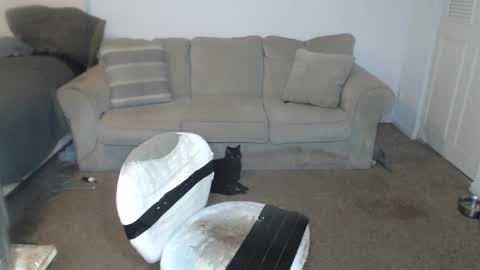 CasinoCam online show from 01/05/25, 09:14