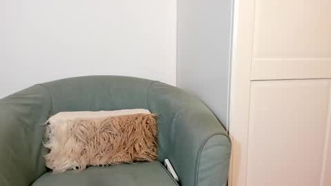 Snapshot of cassieandmarco chatting on 10/27/25, 11:03 cassiecute - onlyfans account online show from 10/27/25, 11:03