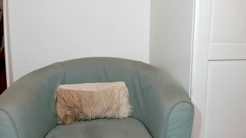 cassiecute - onlyfans account online show from 07/13/26, 08:55