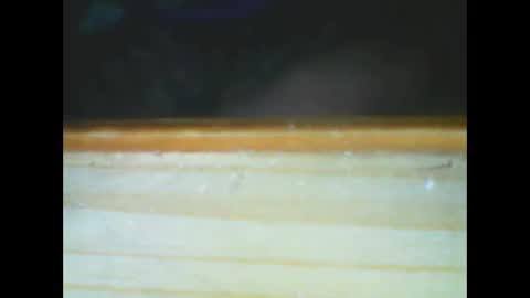 Snapshot of castells chatting on 12/15/25, 06:01 castells online show from 12/15/25, 06:01