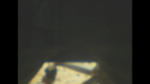 Snapshot of castells chatting on 01/08/26, 05:59 castells online show from 01/08/26, 05:59
