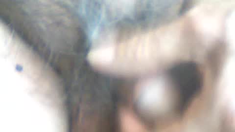 Snapshot of castells chatting on 06/14/26, 04:31 castells online show from 06/14/26, 04:31