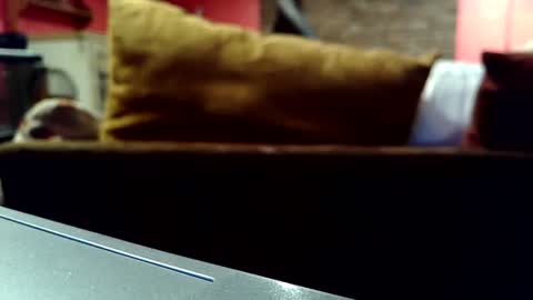 castration40 online show from 10/17/25, 08:39