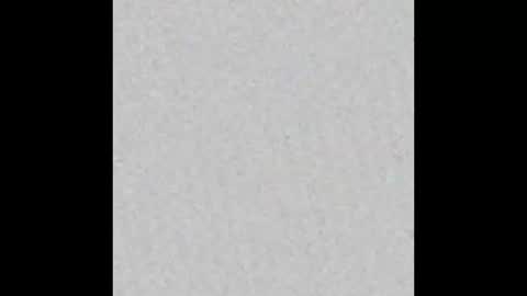 cat_cash_ online show from 09/12/25, 05:51