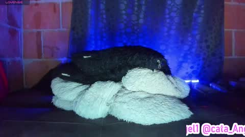 Cata Angel online show from 04/28/26, 12:09