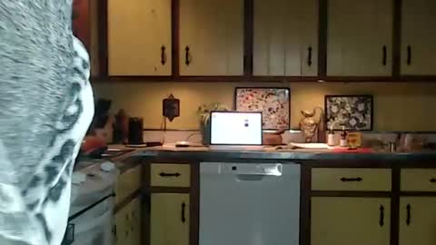 CATALYSTIC online show from 10/26/25, 11:27