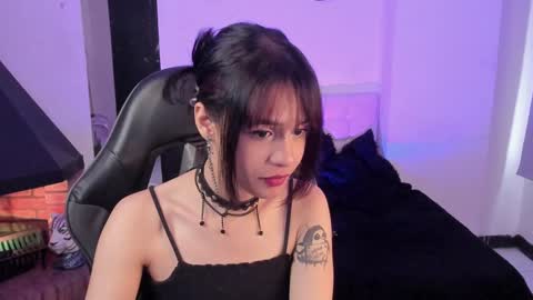 Cat  online show from 12/24/24, 04:30