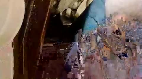 catdaddy179057 online show from 05/13/26, 12:35