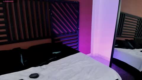 Cattleya online show from 11/22/25, 09:47