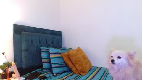 Cedrixx10 online show from 11/11/25, 10:32